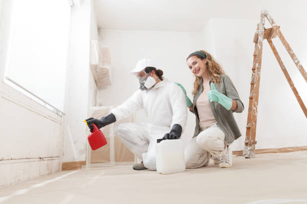 Mold Documentation for Insurance Claims in Coleman, TX